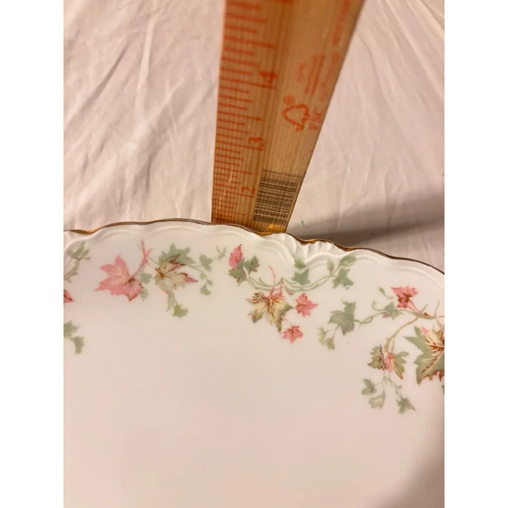 Hutschenreuther Selb Platters Set 2 White Pink Floral Bavaria US Zone Good 15in